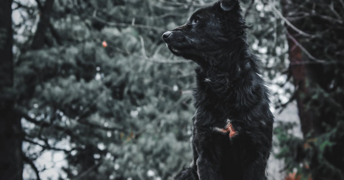 Программы лояльности онлайн казино без депозита - реальная история успеха